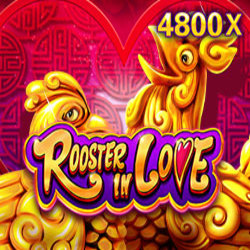 paheng168 JDB slot Rooster In Love