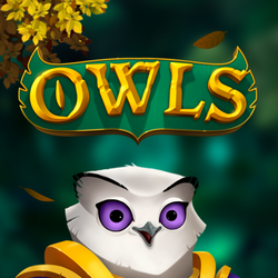 paheng168 NLM slot Owls